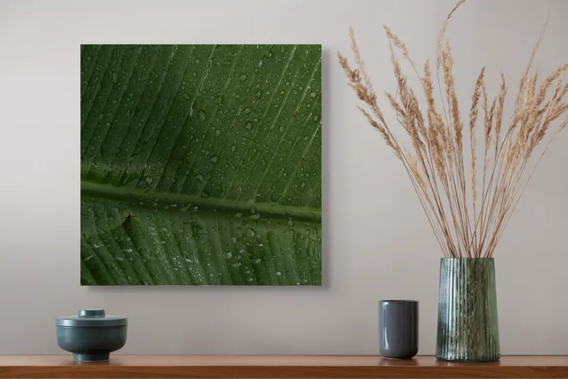 Tablou Canvas, "Picături de ploaie pe frunză verde", Frunze, Verde, Picături, Natură, Textură, Umiditate, Prim-plan, Plante, Proaspăt, Răcoare, 50 x 50 cm – poza 4