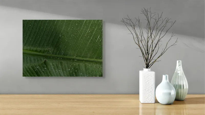 Tablou Canvas, "Picături de ploaie pe frunză verde", Frunze, Verde, Picături, Natură, Textură, Umiditate, Prim-plan, Plante, Proaspăt, Răcoare, 54 x 39 cm – poza 3