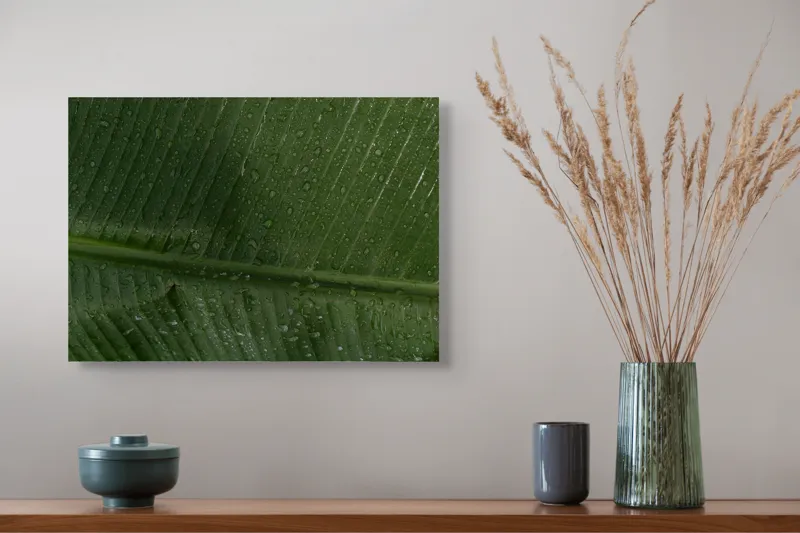 Tablou Canvas, "Picături de ploaie pe frunză verde", Frunze, Verde, Picături, Natură, Textură, Umiditate, Prim-plan, Plante, Proaspăt, Răcoare, 54 x 39 cm – poza 4