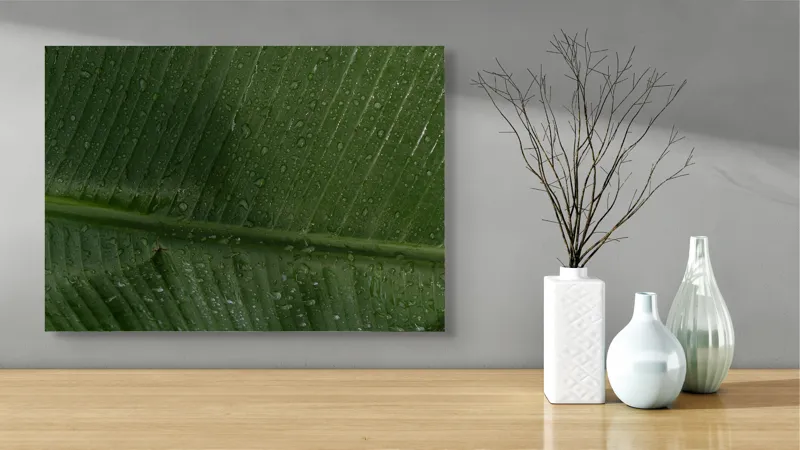 Tablou Canvas, "Picături de ploaie pe frunză verde", Frunze, Verde, Picături, Natură, Textură, Umiditate, Prim-plan, Plante, Proaspăt, Răcoare, 70 x 50 cm – poza 3