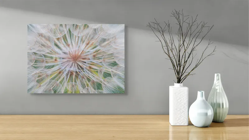 Tablou Canvas, "Cercul delicat al naturii efemere", Floare, Gingașă, Eterică, Fragilă, Delicată, Aerisită, Efemeră, Natură, Minunată, Plutitoare, 54 x 39 cm – poza 3