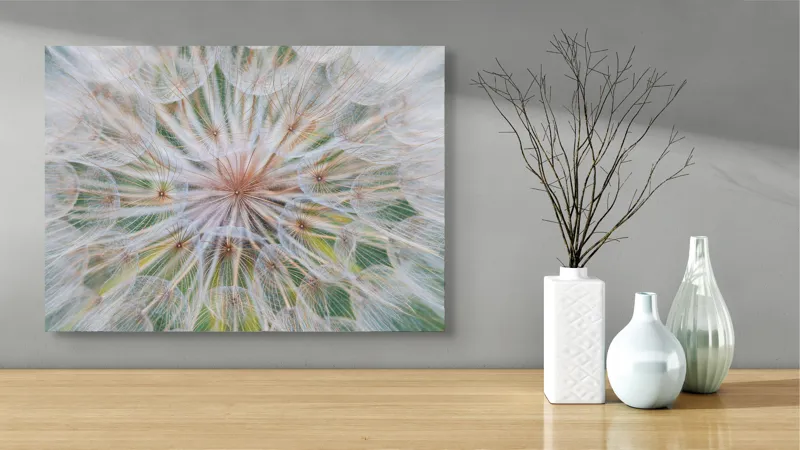 Tablou Canvas, "Cercul delicat al naturii efemere", Floare, Gingașă, Eterică, Fragilă, Delicată, Aerisită, Efemeră, Natură, Minunată, Plutitoare, 70 x 50 cm – poza 3