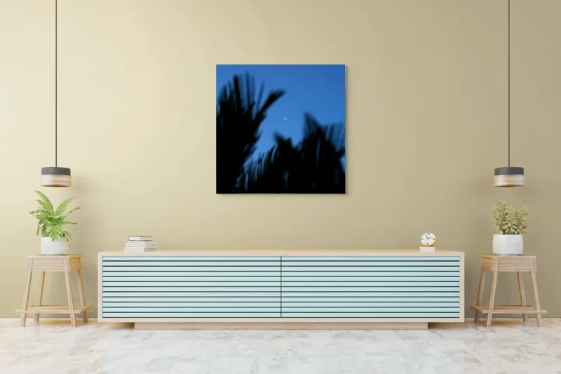 Tablou Canvas, "Luna și frunzele umbre ale serii", Lună, Serenitate, Siluete, Frunziș, Nocturnă, Blândețe, Cer, Crepuscul, 100 x 100 cm – poza 5