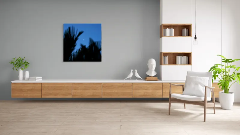 Tablou Canvas, "Luna și frunzele umbre ale serii", Lună, Serenitate, Siluete, Frunziș, Nocturnă, Blândețe, Cer, Crepuscul, 100 x 100 cm – poza 8
