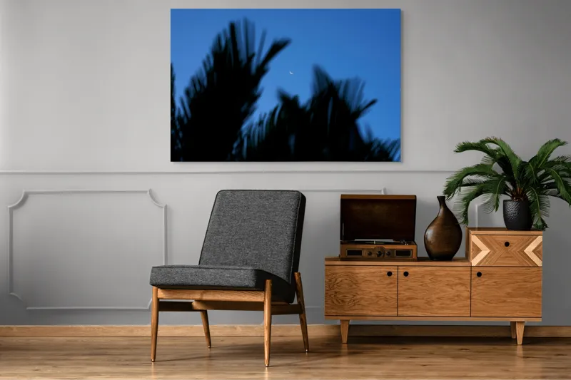 Tablou Canvas, "Luna și frunzele umbre ale serii", Lună, Serenitate, Siluete, Frunziș, Nocturnă, Blândețe, Cer, Crepuscul, 150 x 100 cm – poza 8