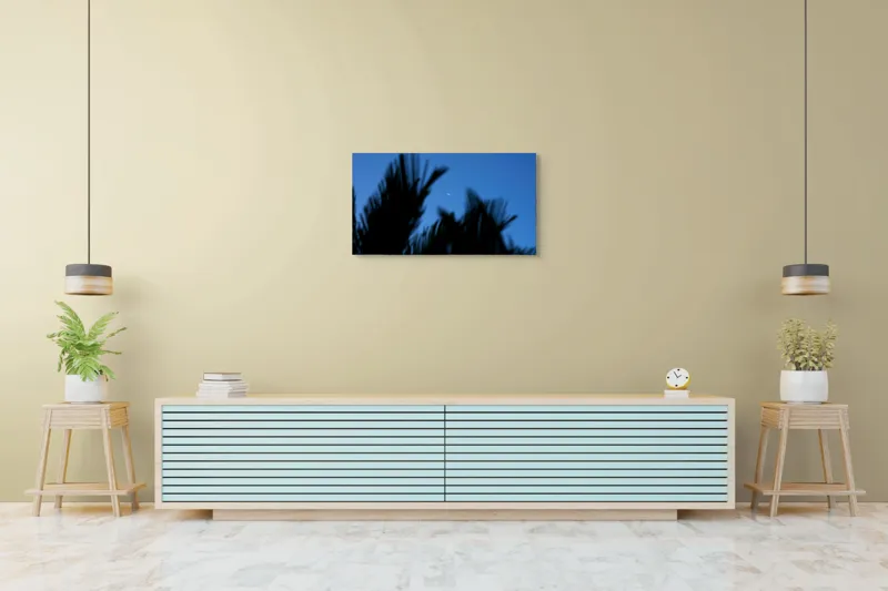 Tablou Canvas, "Luna și frunzele umbre ale serii", Lună, Serenitate, Siluete, Frunziș, Nocturnă, Blândețe, Cer, Crepuscul, 90 x 50 cm – poza 5