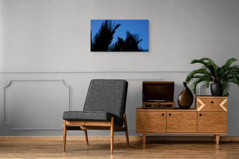 Tablou Canvas, "Luna și frunzele umbre ale serii", Lună, Serenitate, Siluete, Frunziș, Nocturnă, Blândețe, Cer, Crepuscul, 90 x 50 cm – poza 6