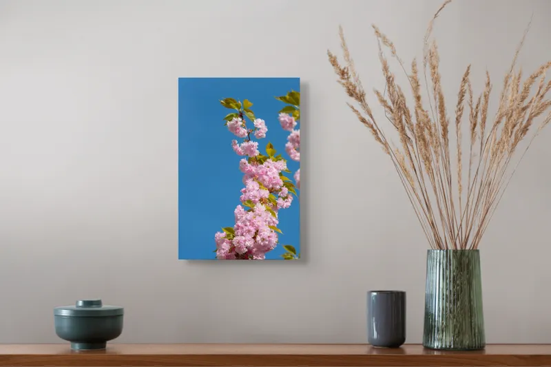 Tablou Canvas, "Floare de cireș sub cer albastru", Flori, Roz, Primăvară, Cer, Albastru, Crenguță, Frunze, Natură, 26 x 39 cm – poza 5
