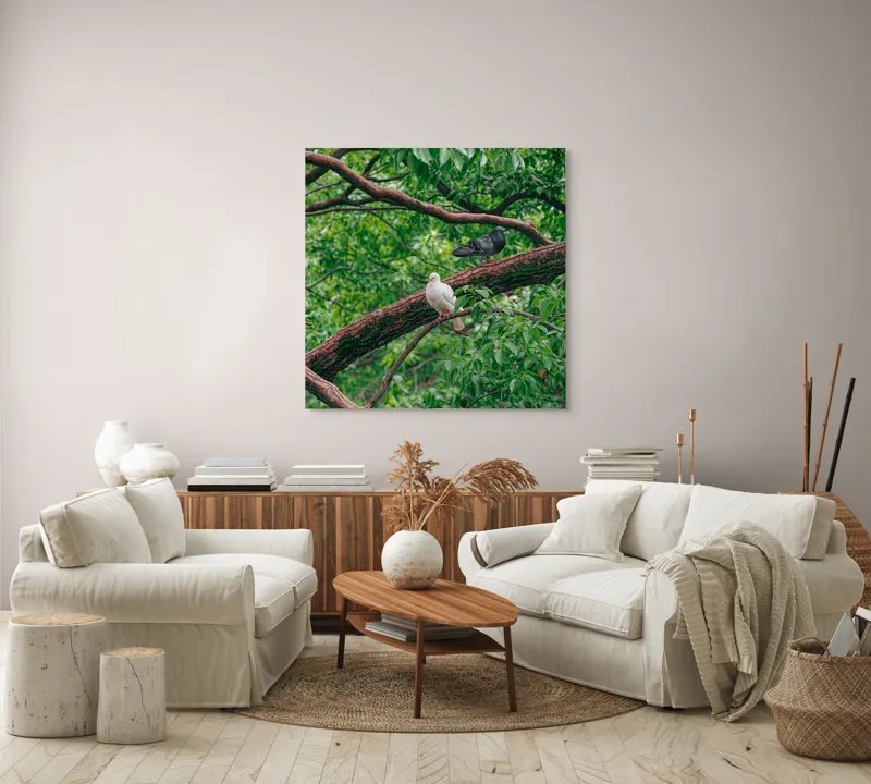 Tablou Canvas, "Porumbeii odihnindu-se pe crengi verzi", Porumbei, Ramuri, Frunze, Verdeață, Natură, Liniște, Armonie, Contemplare, 100 x 100 cm – poza 3