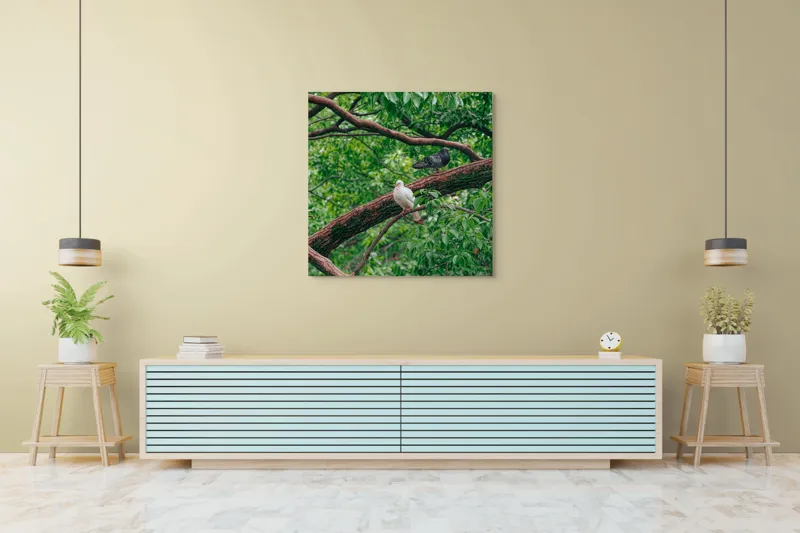 Tablou Canvas, "Porumbeii odihnindu-se pe crengi verzi", Porumbei, Ramuri, Frunze, Verdeață, Natură, Liniște, Armonie, Contemplare, 100 x 100 cm – poza 5