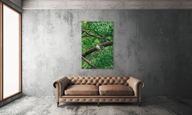 Tablou Canvas, "Porumbeii odihnindu-se pe crengi verzi", Porumbei, Ramuri, Frunze, Verdeață, Natură, Liniște, Armonie, Contemplare, 100 x 150 cm – poza 6