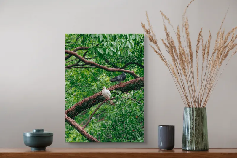 Tablou Canvas, "Porumbeii odihnindu-se pe crengi verzi", Porumbei, Ramuri, Frunze, Verdeață, Natură, Liniște, Armonie, Contemplare, 39 x 54 cm – poza 3