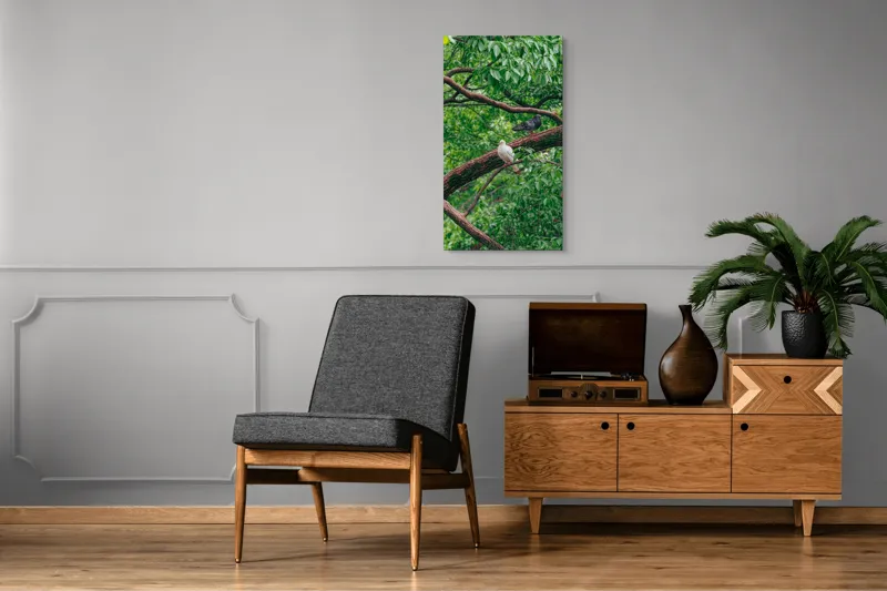 Tablou Canvas, "Porumbeii odihnindu-se pe crengi verzi", Porumbei, Ramuri, Frunze, Verdeață, Natură, Liniște, Armonie, Contemplare, 50 x 90 cm – poza 8