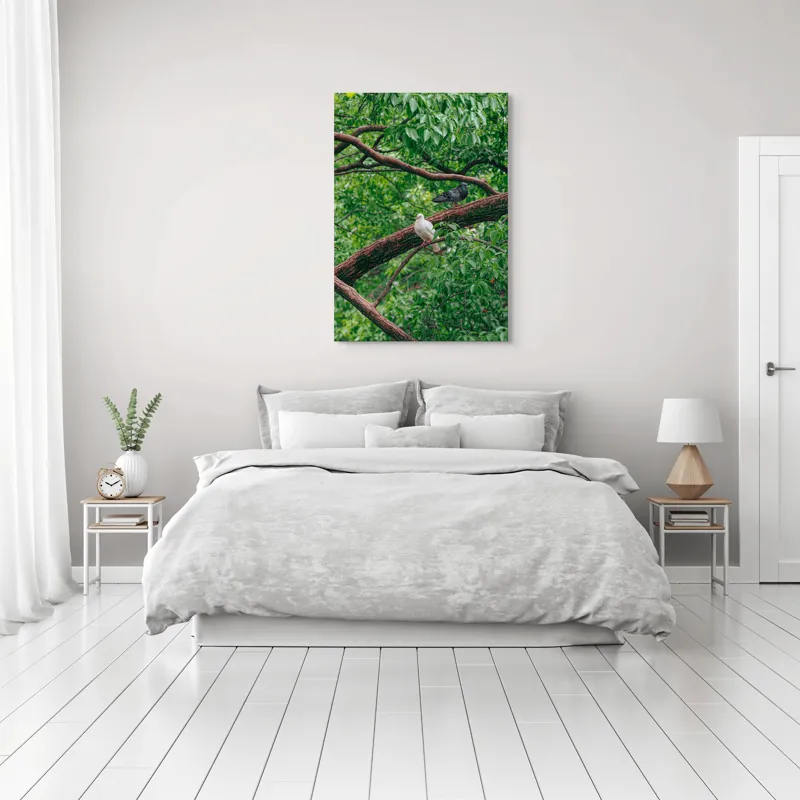 Tablou Canvas, "Porumbeii odihnindu-se pe crengi verzi", Porumbei, Ramuri, Frunze, Verdeață, Natură, Liniște, Armonie, Contemplare, 70 x 100 cm – poza 3