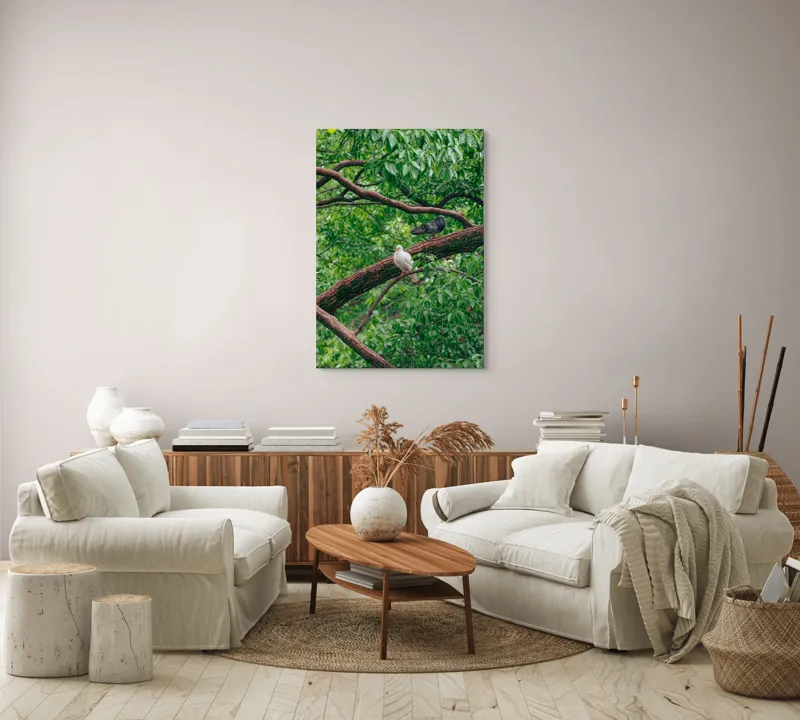 Tablou Canvas, "Porumbeii odihnindu-se pe crengi verzi", Porumbei, Ramuri, Frunze, Verdeață, Natură, Liniște, Armonie, Contemplare, 70 x 100 cm – poza 4