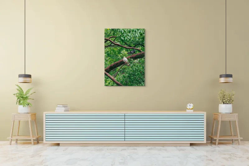 Tablou Canvas, "Porumbeii odihnindu-se pe crengi verzi", Porumbei, Ramuri, Frunze, Verdeață, Natură, Liniște, Armonie, Contemplare, 70 x 100 cm – poza 5