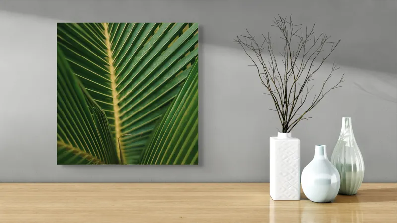 Tablou Canvas, "Simfonia frunzelor de palmier verzi", Verde, Frunze, Simetrie, Textură, Natură, Ferigă, Detalii, Linie, Vascularizare, Prospețime, 50 x 50 cm – poza 3