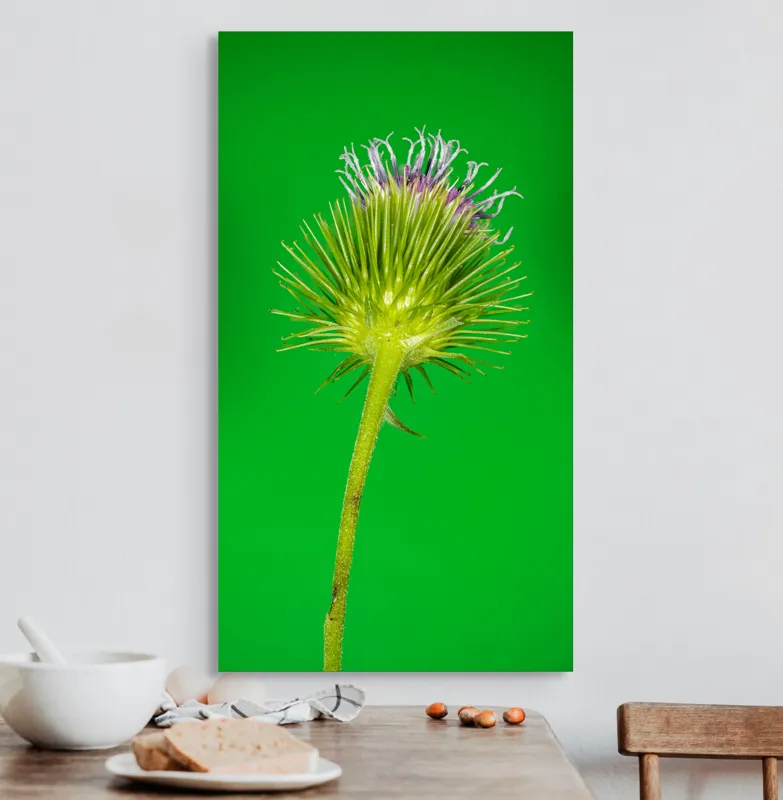 Tablou Canvas, "Florile spinoase ale naturii verzi", Spin, Verde, Florile, Teacă, Violete, Natură, Contrast, Fragilitate, Botanică, 50 x 90 cm – poza 3