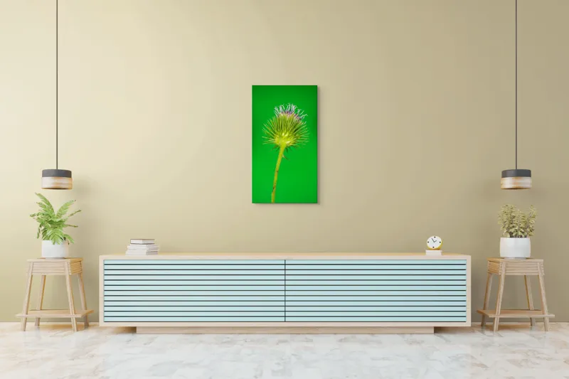 Tablou Canvas, "Florile spinoase ale naturii verzi", Spin, Verde, Florile, Teacă, Violete, Natură, Contrast, Fragilitate, Botanică, 50 x 90 cm – poza 6