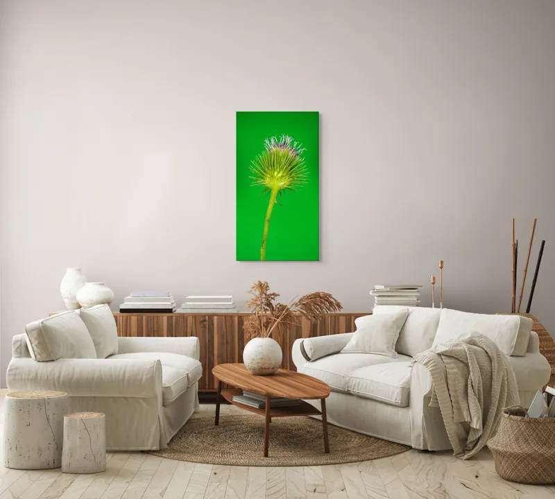 Tablou Canvas, "Florile spinoase ale naturii verzi", Spin, Verde, Florile, Teacă, Violete, Natură, Contrast, Fragilitate, Botanică, 50 x 90 cm – poza 7