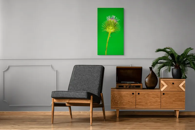 Tablou Canvas, "Florile spinoase ale naturii verzi", Spin, Verde, Florile, Teacă, Violete, Natură, Contrast, Fragilitate, Botanică, 50 x 90 cm – poza 8