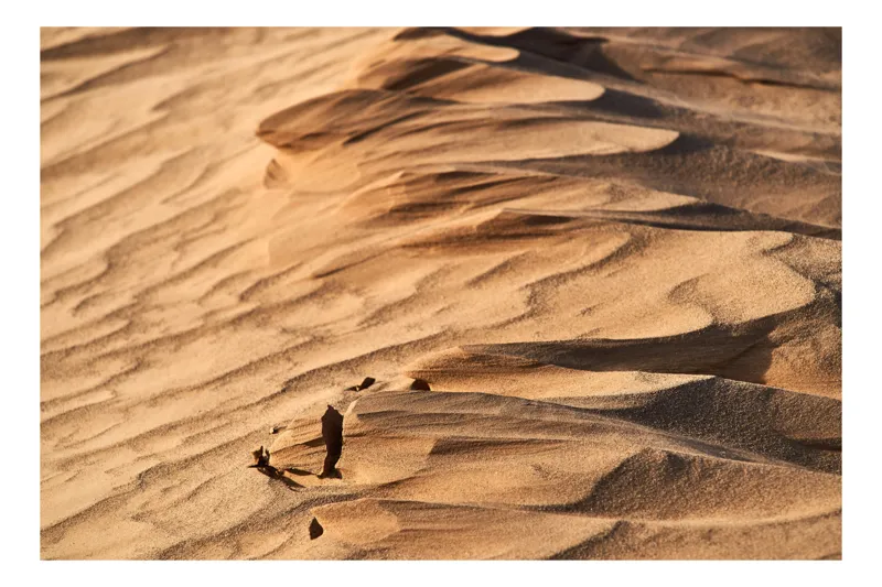 Tablou Canvas, "Valuri de nisip în pustiu", Ondulații, Texturi, Nisip, Umbre, Lumină, Dune, Natură, Deșert, Arid, Valuri, 54 x 39 cm