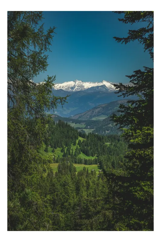 Tablou Canvas, "Priveliște montană prin pădurile verzi", Munte, Zăpadă, Brazi, Cer, Verdeață, Peisaj, Vârfuri, Pădure, Natură, Frumusețe, 100 x 150 cm
