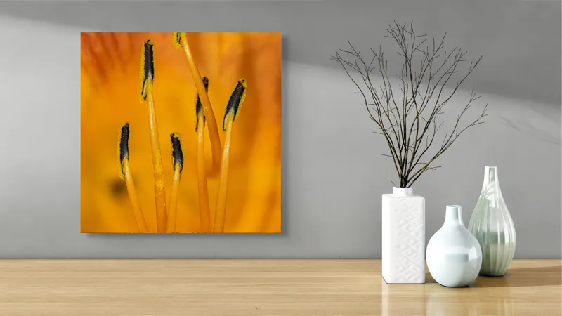 Tablou Canvas, "Dansul staminelor de crin galben", Galben, Portocaliu, Polen, Stamine, Flori, Detalii, Natură, Textură, 50 x 50 cm – poza 3