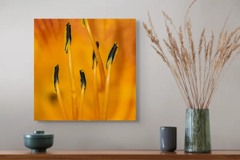 Tablou Canvas, "Dansul staminelor de crin galben", Galben, Portocaliu, Polen, Stamine, Flori, Detalii, Natură, Textură, 50 x 50 cm – poza 4