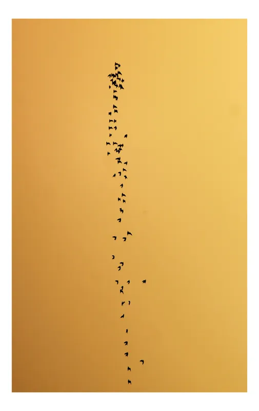 Tablou Canvas, "Păsările dansează în amurg auriu", Păsări, Cer, Zbor, Siluete, Întuneric, Portocaliu, Liniște, Ordine, Libertate, 100 x 150 cm