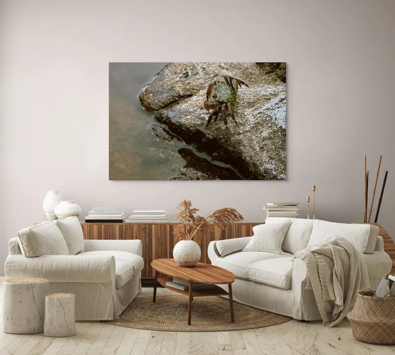 Tablou Canvas, "Crabul aventurier pe stânca umedă", Crab, Rock, Water, Nature, Texture, Claw, Wild, Habitat, Surface, Rough, 150 x 100 cm – poza 3
