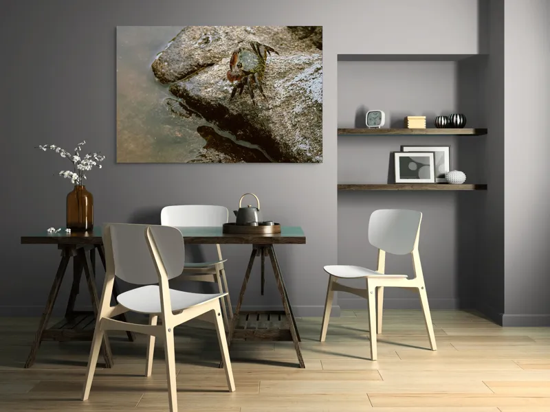 Tablou Canvas, "Crabul aventurier pe stânca umedă", Crab, Rock, Water, Nature, Texture, Claw, Wild, Habitat, Surface, Rough, 150 x 100 cm – poza 5