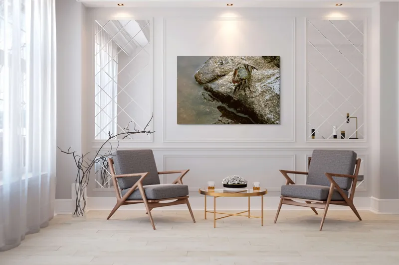 Tablou Canvas, "Crabul aventurier pe stânca umedă", Crab, Rock, Water, Nature, Texture, Claw, Wild, Habitat, Surface, Rough, 150 x 100 cm – poza 7