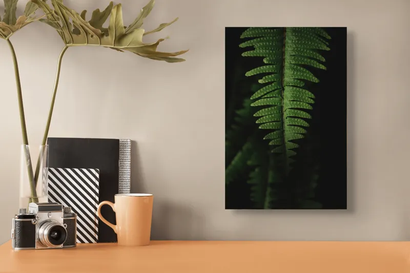 Tablou Canvas, "Frunza de ferigă în umbră verde", Frunză, Verde, Fern, Natură, Umbre, Textură, Detaliu, Frunziș, Închidere, Vegetație, 26 x 39 cm – poza 3