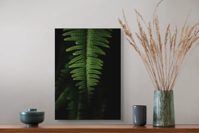 Tablou Canvas, "Frunza de ferigă în umbră verde", Frunză, Verde, Fern, Natură, Umbre, Textură, Detaliu, Frunziș, Închidere, Vegetație, 39 x 54 cm – poza 3