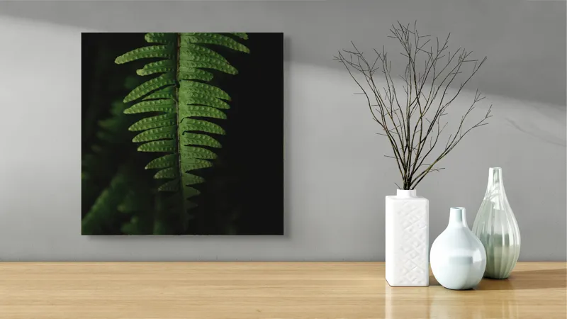 Tablou Canvas, "Frunza de ferigă în umbră verde", Frunză, Verde, Fern, Natură, Umbre, Textură, Detaliu, Frunziș, Închidere, Vegetație, 50 x 50 cm – poza 3