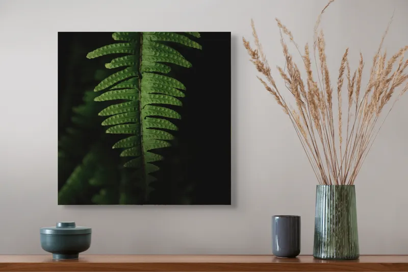 Tablou Canvas, "Frunza de ferigă în umbră verde", Frunză, Verde, Fern, Natură, Umbre, Textură, Detaliu, Frunziș, Închidere, Vegetație, 50 x 50 cm – poza 4