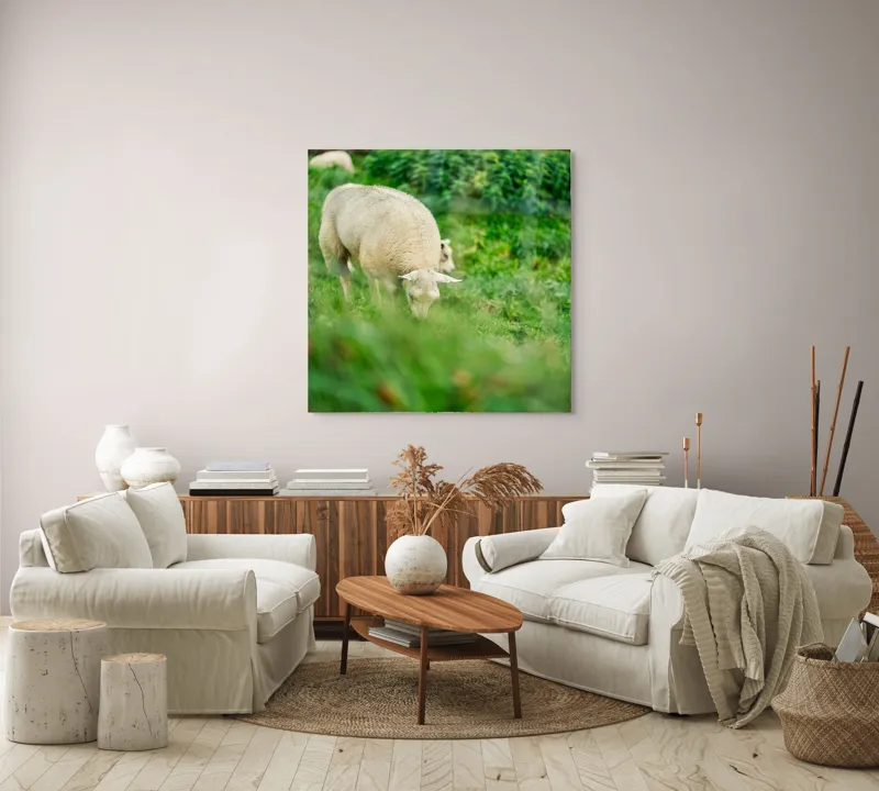 Tablou Canvas, "Oaie păscând pe câmp verde", Oaie, Verdeață, Pășune, Natură, Tranquilitate, Blândețe, Peisaj, Rumegătoare, 100 x 100 cm – poza 3