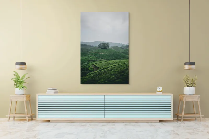 Tablou Canvas Peisaj Natură Pădure Plantatie Calm, 100 x 150 cm – poza 4