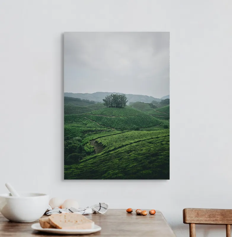 Tablou Canvas Peisaj Natură Pădure Plantatie Calm, 50 x 70 cm – poza 3