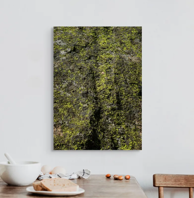 Tablou Canvas, "Verdelui vegetației de pe piatră", Verde, Textură, Muschi, Natură, Rugozitate, Organism, Culoare., 50 x 70 cm – poza 3