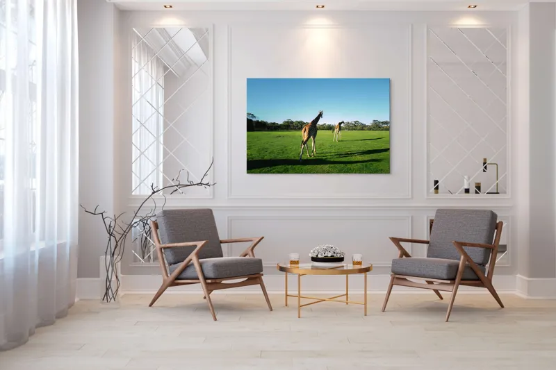 Tablou Canvas, "Girafe la apus pe savană africană", Girafe, Savana, Verde, Cer, Arbori, Umbre, Peisaj, Zi, Lumina, Natura, 150 x 100 cm