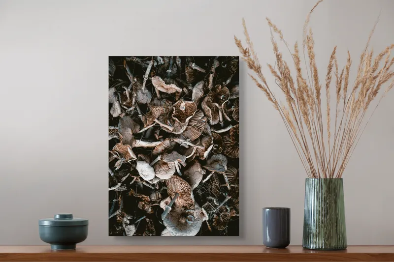 Tablou Canvas, "Ciuperci uscate în așternut de pădure", Ciuperci, Textură, Natură, Organic, Complexitate, Fascinant, Detaliu, Umbre, Tonuri, Pământii, 39 x 54 cm – poza 3