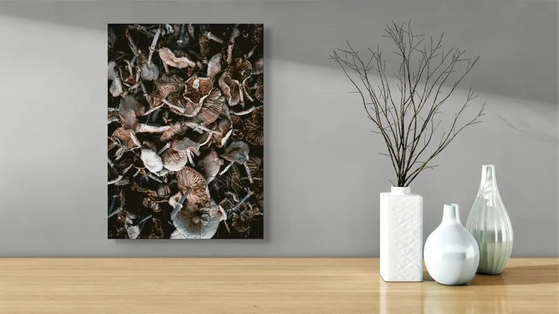 Tablou Canvas, "Ciuperci uscate în așternut de pădure", Ciuperci, Textură, Natură, Organic, Complexitate, Fascinant, Detaliu, Umbre, Tonuri, Pământii, 39 x 54 cm – poza 4