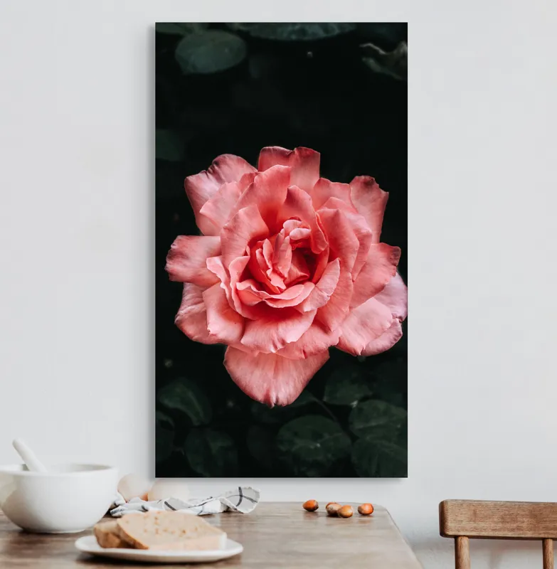 Tablou Canvas, "Trandafirul solitar al grădinii întunecate", Roz, Delicatețe, Frumusețe, Natură, Petale, Farmec, Flori, Contrast, 50 x 90 cm – poza 3