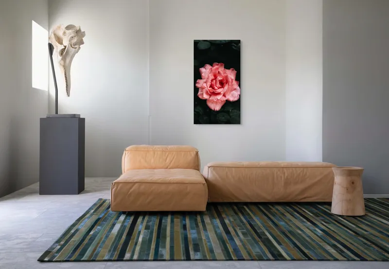 Tablou Canvas, "Trandafirul solitar al grădinii întunecate", Roz, Delicatețe, Frumusețe, Natură, Petale, Farmec, Flori, Contrast, 50 x 90 cm – poza 5