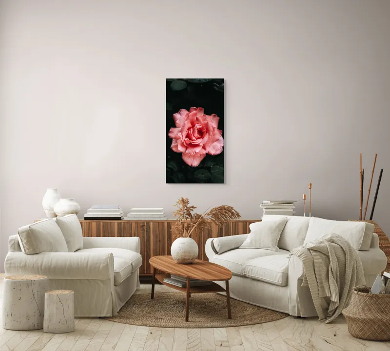 Tablou Canvas, "Trandafirul solitar al grădinii întunecate", Roz, Delicatețe, Frumusețe, Natură, Petale, Farmec, Flori, Contrast, 50 x 90 cm – poza 7