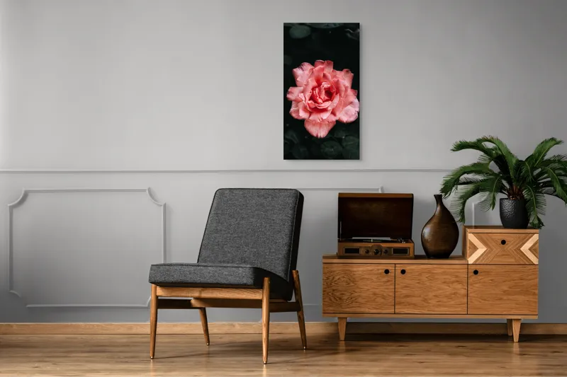 Tablou Canvas, "Trandafirul solitar al grădinii întunecate", Roz, Delicatețe, Frumusețe, Natură, Petale, Farmec, Flori, Contrast, 50 x 90 cm – poza 8