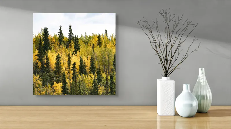 Tablou Canvas, "Padurea in straie de toamna", Pădure, Toamnă, Culori, Verde, Galben, Arbori, Cer, Natură, Frunziș, Peisaj, 50 x 50 cm – poza 3