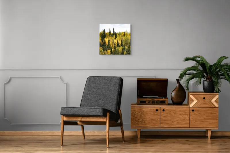 Tablou Canvas, "Padurea in straie de toamna", Pădure, Toamnă, Culori, Verde, Galben, Arbori, Cer, Natură, Frunziș, Peisaj, 50 x 50 cm – poza 6